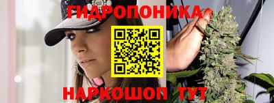 спайс Моздок