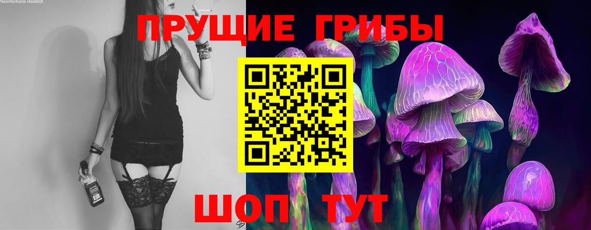дарнет шоп  Галлюциногенные грибы MAGIC MUSHROOMS  Вход с VPN  Химки 